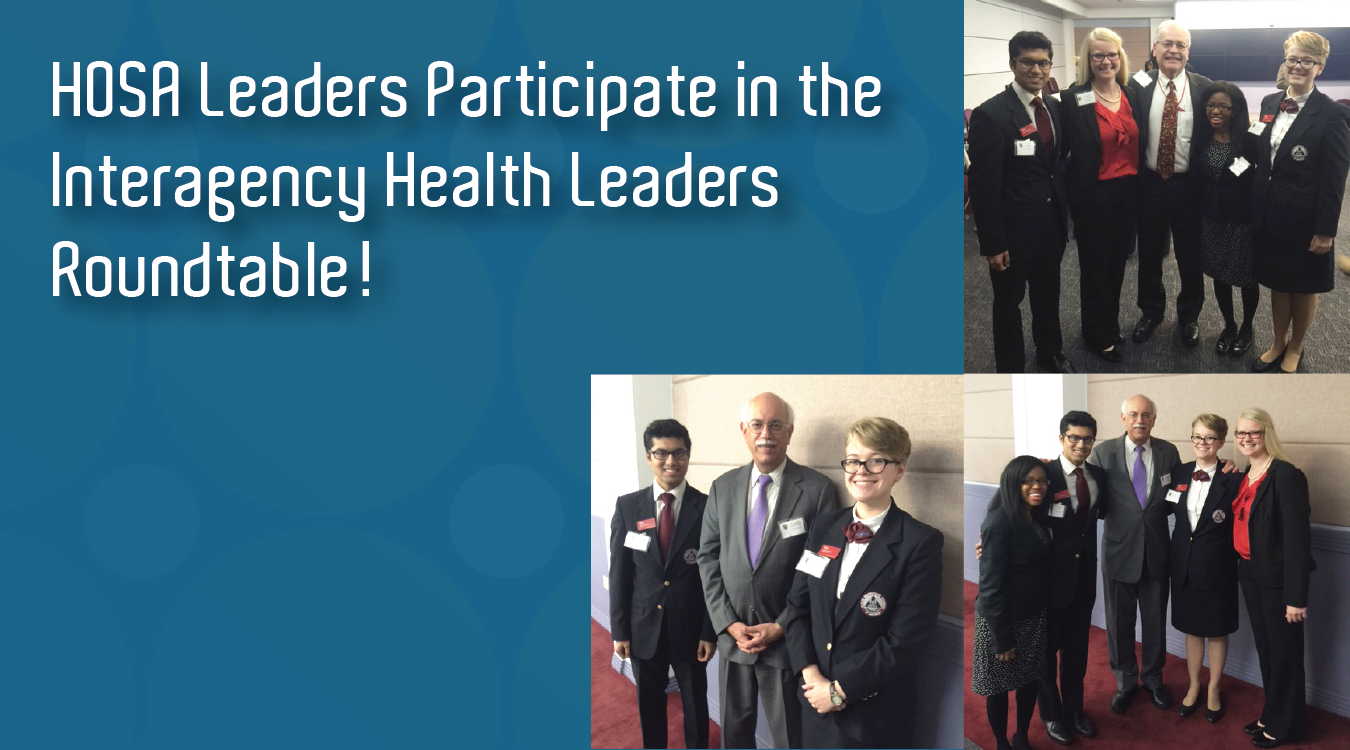Read more about the article Interagency Health Leaders Roundtable