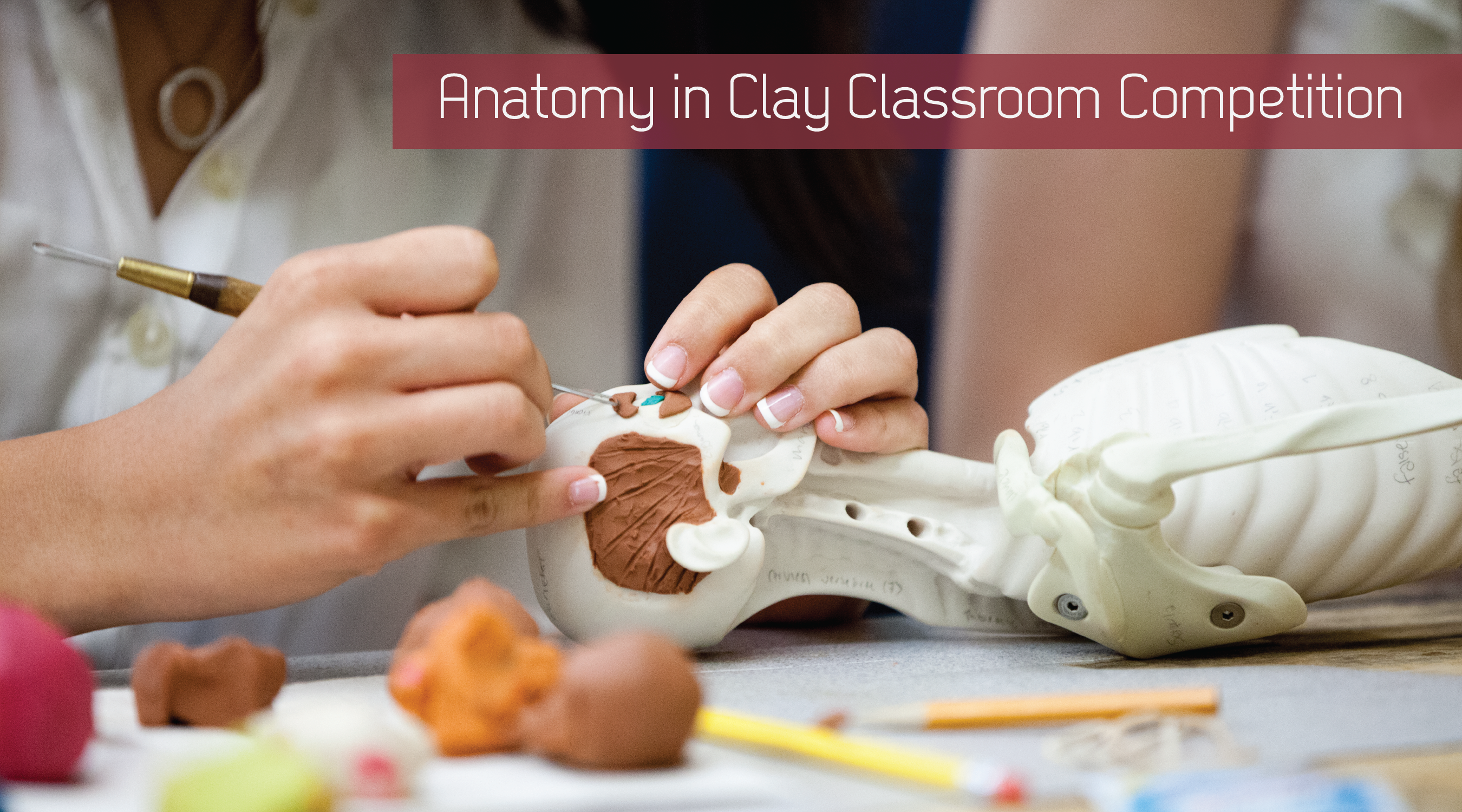 Read more about the article Favorite Classroom Activity