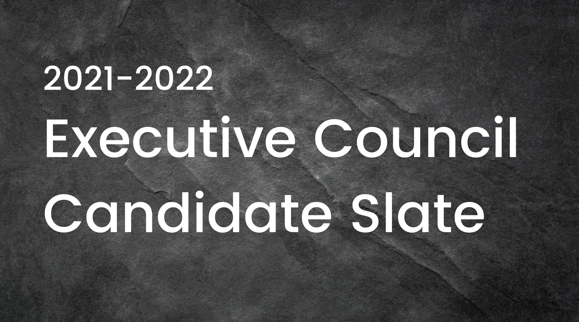 2021-2022 Executive Council Slate